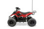 TrailMaster Mini Sport ATV 110, Gas Engine with Remote Start/Kill, Speed Governor, 6-inch Wheels
