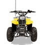 TrailMaster Mini Sport ATV 110, Gas Engine with Remote Start/Kill, Speed Governor, 6-inch Wheels