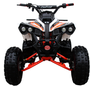 Coolster (3125B2) 125cc Sport ATV, Electric Start, Automatic with Reverse, 8-inch Steel Wheels, Ages 9-12