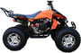 Coolster (3200S) 200cc Sport ATV, Automatic with Reverse, 10-inch Alloy Wheels, Hydraulic Disc Brakes