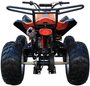 Coolster (3200S) 200cc Sport ATV, Automatic with Reverse, 10-inch Alloy Wheels, Hydraulic Disc Brakes
