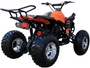 Coolster (3200S) 200cc Sport ATV, Automatic with Reverse, 10-inch Alloy Wheels, Hydraulic Disc Brakes