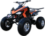 Coolster (3200S) 200cc Sport ATV, Automatic with Reverse, 10-inch Alloy Wheels, Hydraulic Disc Brakes