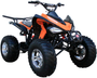 Coolster (3200S) 200cc Sport ATV, Automatic with Reverse, 10-inch Alloy Wheels, Hydraulic Disc Brakes
