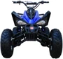 Coolster (3200S) 200cc Sport ATV, Automatic with Reverse, 10-inch Alloy Wheels, Hydraulic Disc Brakes