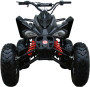 Coolster (3200S) 200cc Sport ATV, Automatic with Reverse, 10-inch Alloy Wheels, Hydraulic Disc Brakes