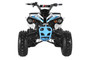 TrailMaster C125 125cc Sport ATV, Automatic with Reverse, 8-inch Wheels, Ages 9-12