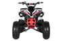 TrailMaster C125 125cc Sport ATV, Automatic with Reverse, 8-inch Wheels, Ages 9-12