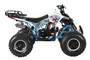 TrailMaster F125 125cc Sport ATV, Automatic with Reverse, 8-inch Wheels, Ages 9-12
