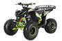 TrailMaster F125 125cc Sport ATV, Automatic with Reverse, 8-inch Wheels, Ages 9-12