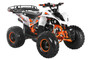 TrailMaster F125 125cc Sport ATV, Automatic with Reverse, 8-inch Wheels, Ages 9-12