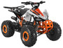 TrailMaster K125 125cc Sport ATV, Automatic with Reverse, 8-inch Wheels Large Tires, Ages 9-12
