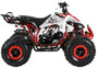 TrailMaster K125 125cc Sport ATV, Automatic with Reverse, 8-inch Wheels Large Tires, Ages 9-12