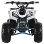 TrailMaster R125 125cc Sport ATV, Automatic with Reverse, 7-inch Wheels, Ages 9-12