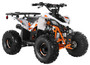 TrailMaster R125 125cc Sport ATV, Automatic with Reverse, 7-inch Wheels, Ages 9-12