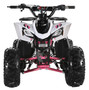 TrailMaster R125 125cc Sport ATV, Automatic with Reverse, 7-inch Wheels, Ages 9-12