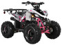 TrailMaster R125 125cc Sport ATV, Automatic with Reverse, 7-inch Wheels, Ages 9-12