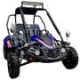 TrailMaster Blazer 200EX EFI Buggy Go Kart, LED Light Bar, Windshield Included