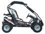 TrailMaster Blazer 200R MID-Size Go Kart, 7.5hp Torque Converter, Electric Start Reverse, Kids Ages 7-12