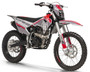 TrailMaster MX250 Dirt Bike, 5-Speed Manual, Electric Start, Dual Disc Brakes, (21/18) Wheels
