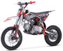 TrailMaster TM23 125cc Dirt Bike, 4-Speed Auto, Electric Start (14/12), Ages 12 and up