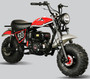 TrailMaster Hurricane 200X Mini Bike, 196cc 6.5hp with Torque Converter, Dual Disc Brake, Front & Rear Suspension