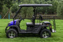 TrailMaster Taurus 450GX Gas Golf Cart, 26hp EFI Engine, 2x4/4x4 H/L Gear with Locking Differential