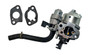 596079 CARBURETOR -TAKEN OFF ENGINE (BS-596079-D1)