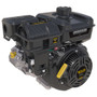 Briggs (19V332-0151)
