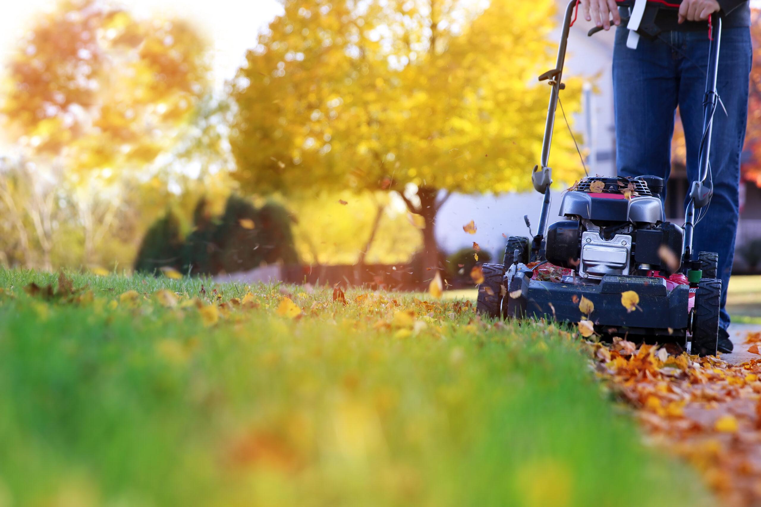 Winterize Your Lawn Mower with Small Engine Warehouse for a Hassle-Free Spring