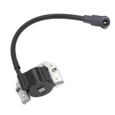 キヨミ 7036164__13449.1725578470.386.