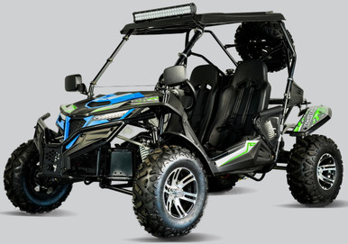 TrailMaster Cheetah 200EX EFI Go Kart CVT Automatic with Reverse, Alloy Wheels, Windshield (61743)