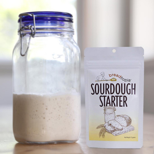 Sourdough Starter (dry)