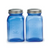 Glass Salt and Pepper Shakers