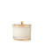 Frasier Fir Medium Poured Candle, Frosted Wood Grain