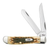 Case Knives Peach Seed Jig Amber Bone Mini Trapper Pocketknife  13