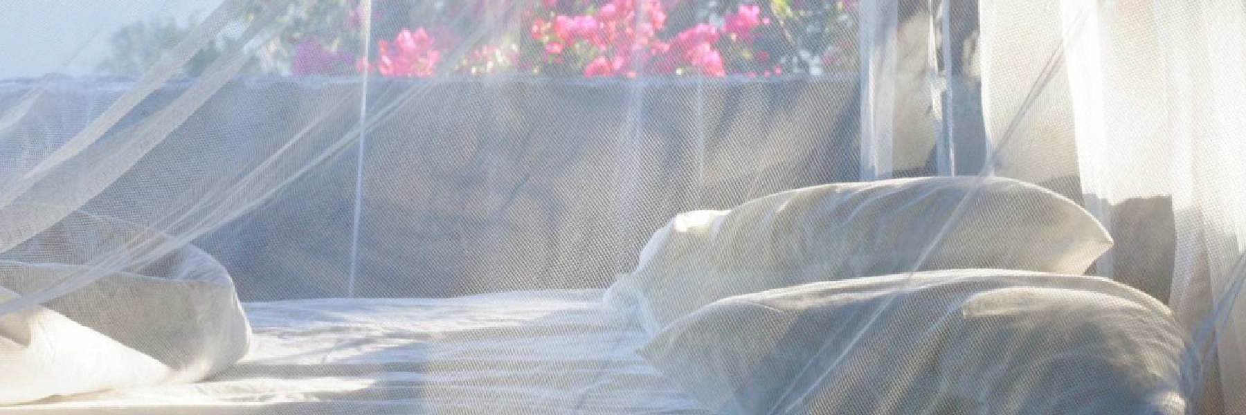 Mosquito Net, Mosquito Netting and Travel Mosquito Nets for beds