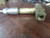 Flotect V6EPBBSLF Flow Switch1