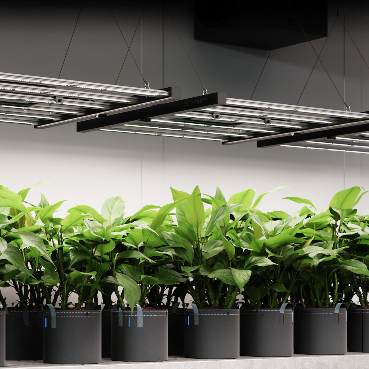 AC Infinity IONFRAME EVO3 LED Grow Light, 280W, 2x4, Free Shipping