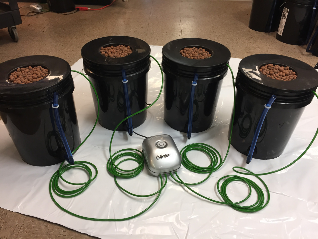 4 Plant Complete DWC Buckets Including 