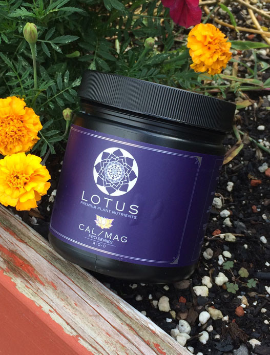 Lotus Pro Series CalMag