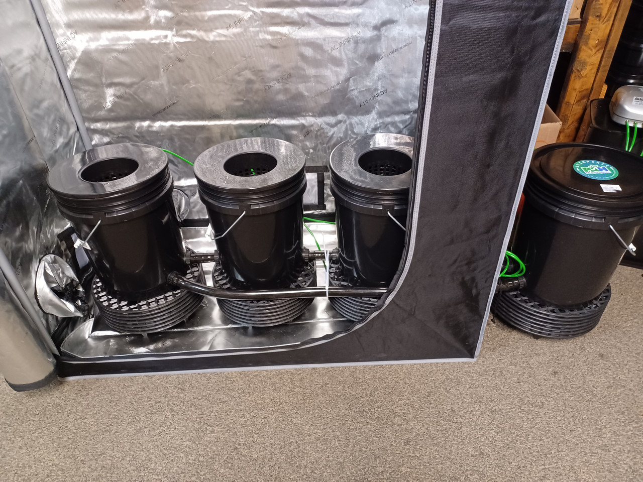 3 Plant 5 gallon inline Stirponic RDWC system made for a 2x4 grow