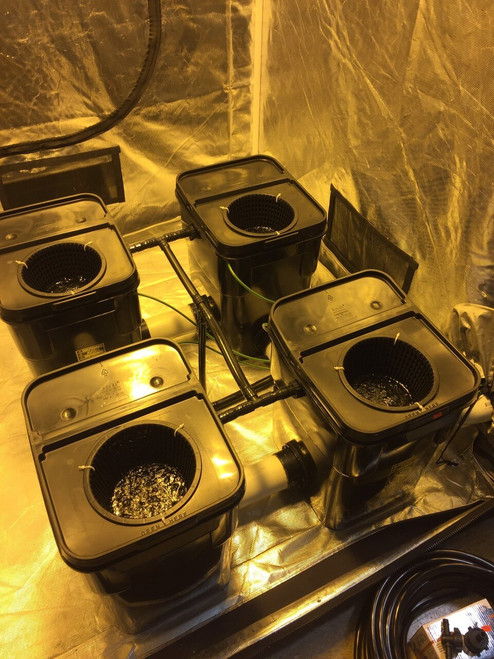 Custom Built 4 Plant Rdwc Waterfall Top Feed Fallponic Hydroponic