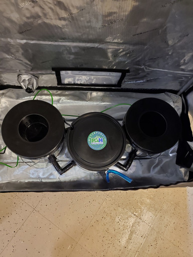 20220908_131049__19790.