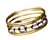 Aegis Armlet