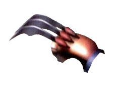 Tiger Fang