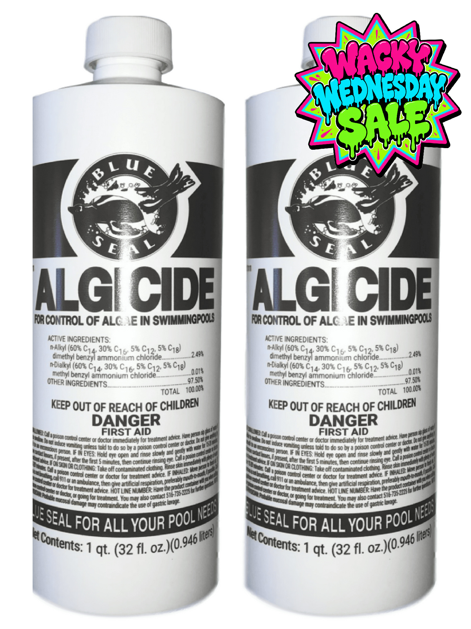 Blue Seal Quart Algicide For Swimming Pools