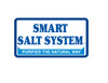 In Ground Smart Salt System For Pools Up To 40,000 Gallons