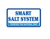 Above Ground Smart Salt System For Swimming Pools Up To 20,000 Gallons