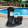BLACK DIAMOND  60 Cartridge Filter With 1 HP Pump